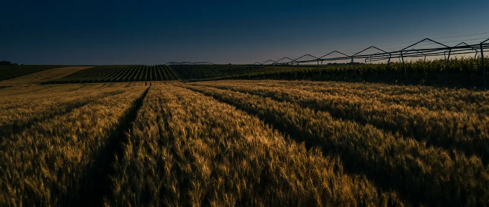 Agro
